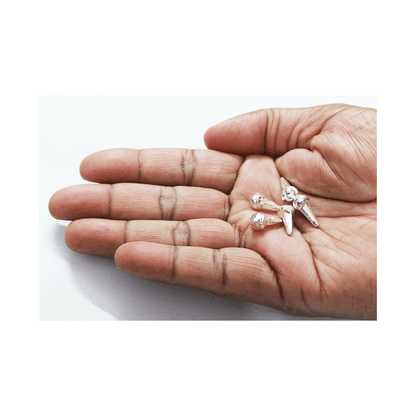 Silver (98% purity) Holy and sacred clove 5 Quantity for Pooja and Gift, Pure Silver Long for temple and worship