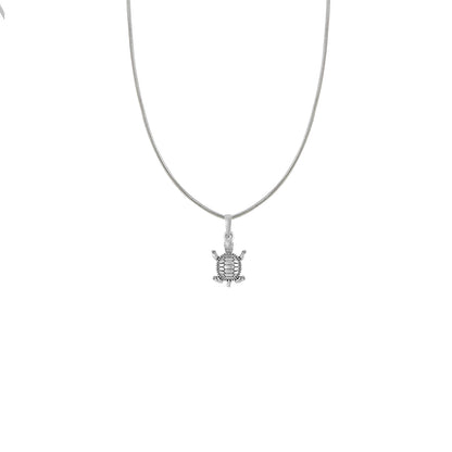 tortoise pendant/locket